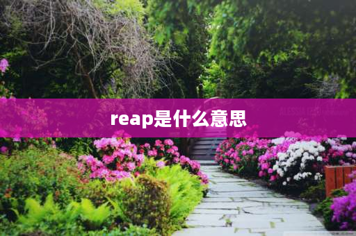 reap是什么意思 cnh什么意思？