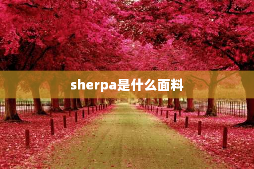 sherpa是什么面料 sherpa创始人？