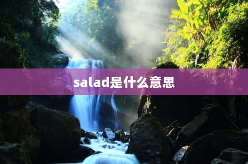 salad是什么意思 salad是food还是fruit!？