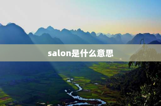 salon是什么意思 lrsaonom可以组成什么单词？