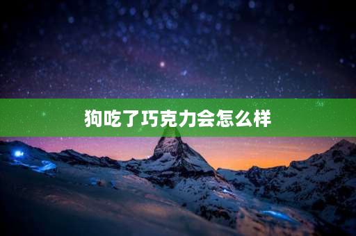 狗吃了巧克力会怎么样 狗狗为什么不能吃巧克力？