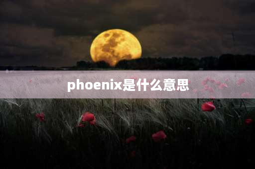 phoenix是什么意思 toyota是什么网络用语？