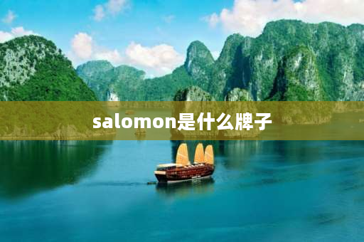 salomon是什么牌子 总是看到喜欢滑雪的人穿Salomon，它到底是什么类型的品牌？