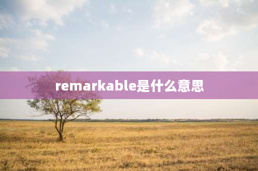 remarkable是什么意思 什么样地进步填形容词？