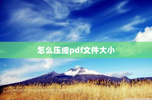 怎么压缩pdf文件大小 如何压缩PDF？