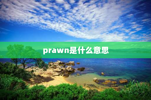 prawn是什么意思 虾是可数名词还是不可数名词？