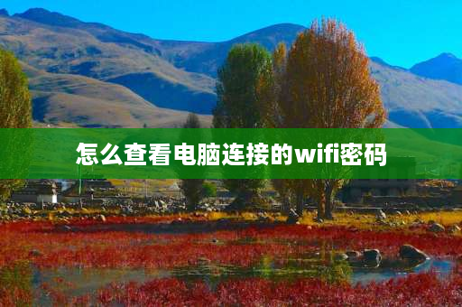 怎么查看电脑连接的wifi密码 电脑查wifi密码方法？