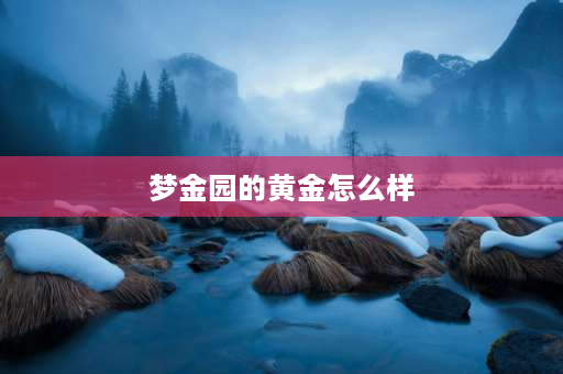 梦金园的黄金怎么样 梦金园的9999黄金纯度怎么样？