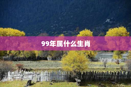 99年属什么生肖 91-99年分别属什么属相？