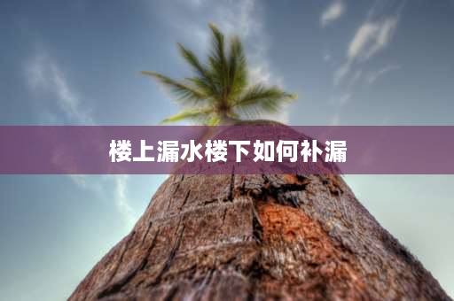 楼上漏水楼下如何补漏 楼上漏水楼下如何补漏，楼上漏水楼下如何补漏知识？