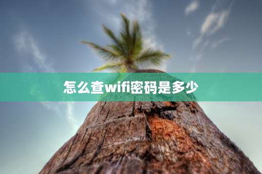 怎么查wifi密码是多少 wifi密码一般是多少？