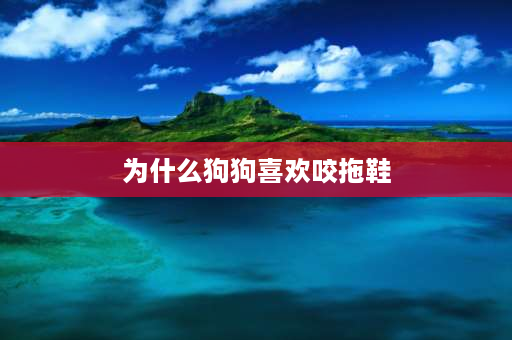 为什么狗狗喜欢咬拖鞋 为什么我家的狗狗总喜欢咬我们的脚还有鞋子？