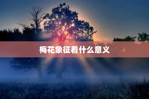 梅花象征着什么意义 梅花的寓意象征意义？