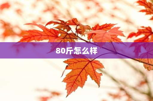 80斤怎么样 80公斤拳手有多强？