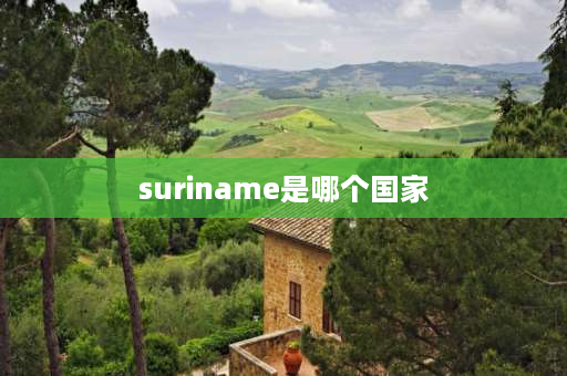 suriname是哪个国家 surname name是不是姓名辅助项？