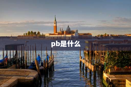 pb是什么 PB  指什么？