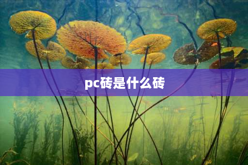 pc砖是什么砖 pc砖和红砖的优缺点？