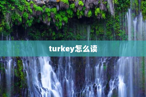 turkey怎么读 西瓜用英语怎么拼读？