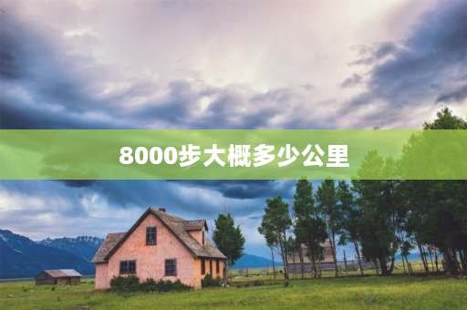 8000步大概多少公里 8000步等于多少公里？