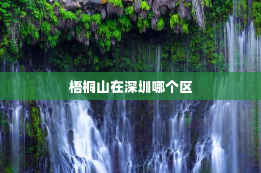 梧桐山在深圳哪个区 深圳小梧桐山海拔高度？