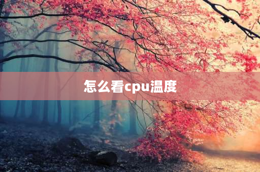 怎么看cpu温度 天选三怎么看cpu温度？