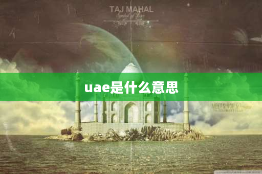 uae是什么意思 made in u.a.e那个国家？