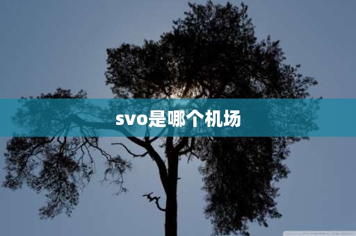 svo是哪个机场 SVO是什么机场？