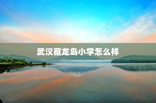 武汉藏龙岛小学怎么样 2021武汉民办小学排名？