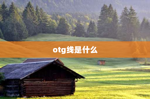 otg线是什么 安装otg是怎么回事？