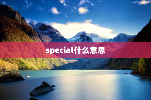 special什么意思 special和particular表示特别的有什么区别？