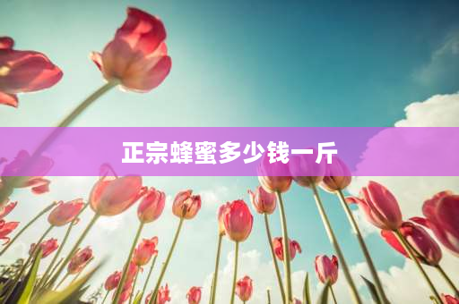 正宗蜂蜜多少钱一斤 真正的蜂蜜多少钱一斤？蜂蜜的价格一般多少钱？