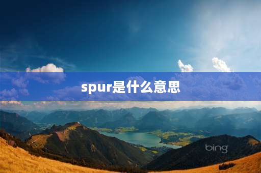 spur是什么意思 on与at有什么区别？