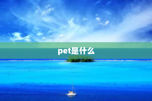 pet是什么 pet是什么意思？