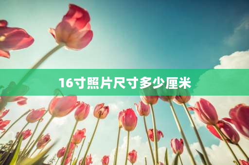 16寸照片尺寸多少厘米 16寸照片的大小长宽各是多少？ 