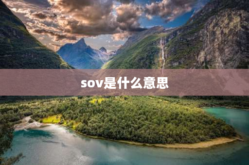 sov是什么意思 svp和svo什么意思？