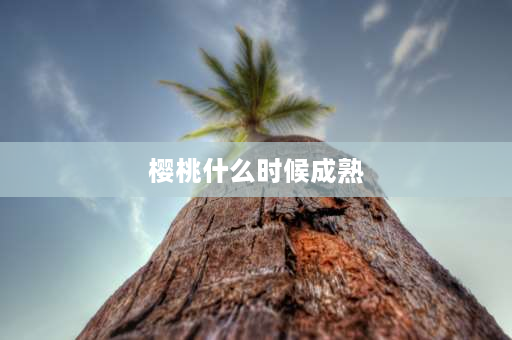 樱桃什么时候成熟 樱桃的成熟时间是什么时候？