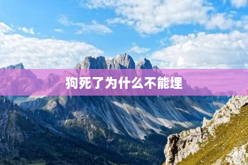 狗死了为什么不能埋 为什么不能把宠物葬到树下？