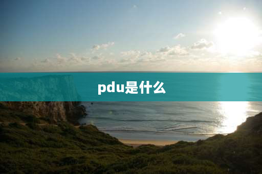 pdu是什么 PDU是什么？