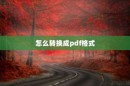 怎么转换成pdf格式 怎么把扫描文档转换成PDF？