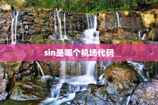 sin是哪个机场代码 sin是哪个港口？