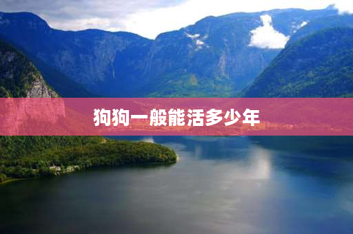 狗狗一般能活多少年 一只狗养了六年是多少？