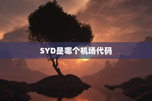 SYD是哪个机场代码 mu738 澳洲飞上海都途经澳洲哪里？