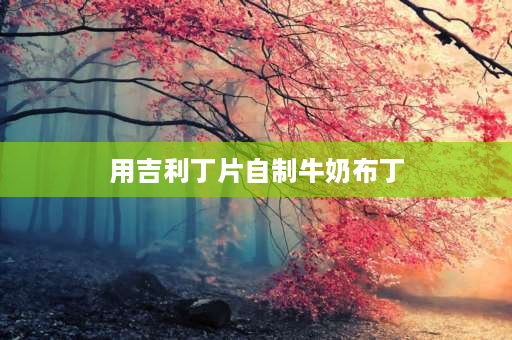 用吉利丁片自制牛奶布丁 双皮奶吉利丁做法？