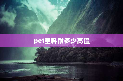 pet塑料耐多少高温 pet温度超过多少有毒？