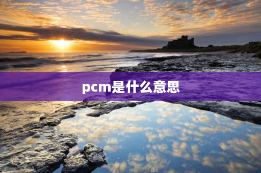 pcm是什么意思 PCM是究竟什么意思？