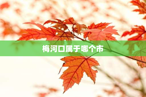 梅河口属于哪个市 吉林省辉南县朝阳镇和吉林省梅河口市是一个地区吗？