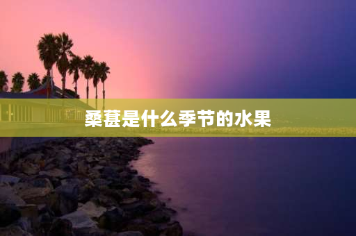 桑葚是什么季节的水果 桑果什么时候成熟？