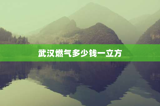 武汉燃气多少钱一立方 武汉100块买多少方天然气？