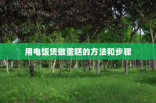 用电饭煲做蛋糕的方法和步骤 在家怎么用电饭煲做蛋糕方法教程？