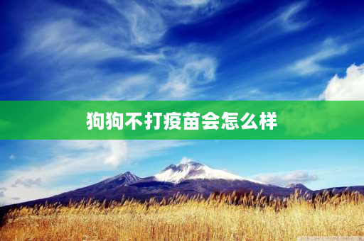 狗狗不打疫苗会怎么样 养狗不**对人有影响吗？